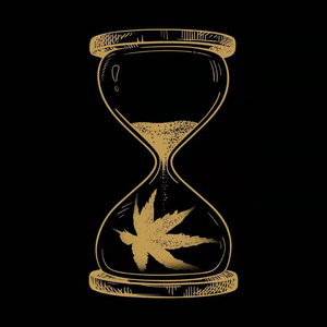 60岁老熟女一区二区三区四区
